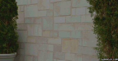 十年码农：我在加入亚马逊 5 个月后选择离职了