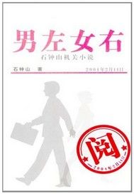 男左女右：石钟山机关小说