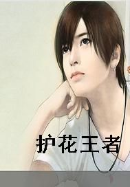 护花王者