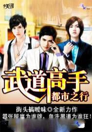 武道高手都市之行