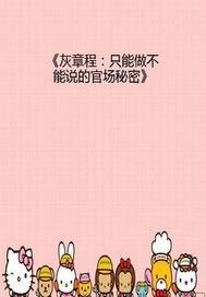灰章程——只能做不能说的官场秘密