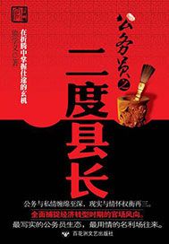 公务员之二度县长
