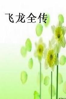 飞龙全传
