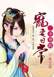 二少爷的宠妻日常