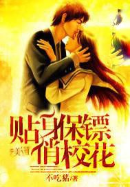 贴身保镖俏校花