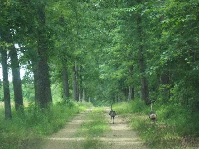 美国有什么特产在中国绝对买不到的？瞧瞧45万美元买下美国大农场