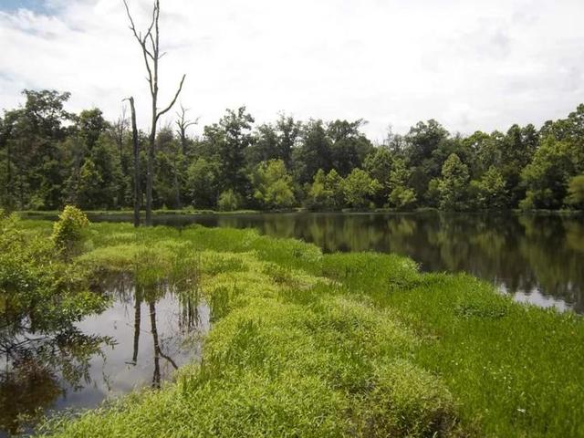 美国有什么特产在中国绝对买不到的？瞧瞧45万美元买下美国大农场