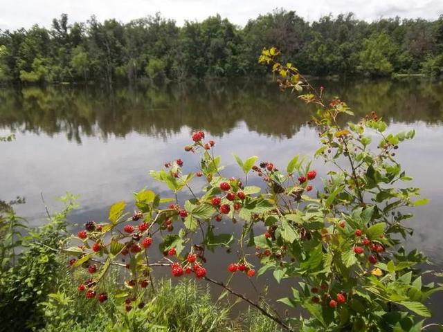 美国有什么特产在中国绝对买不到的？瞧瞧45万美元买下美国大农场