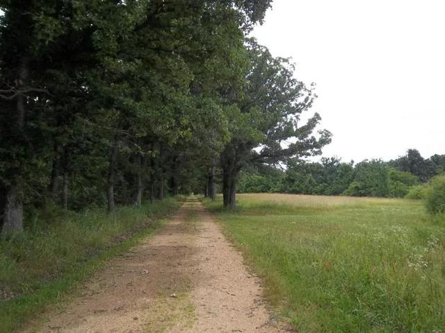 美国有什么特产在中国绝对买不到的？瞧瞧45万美元买下美国大农场