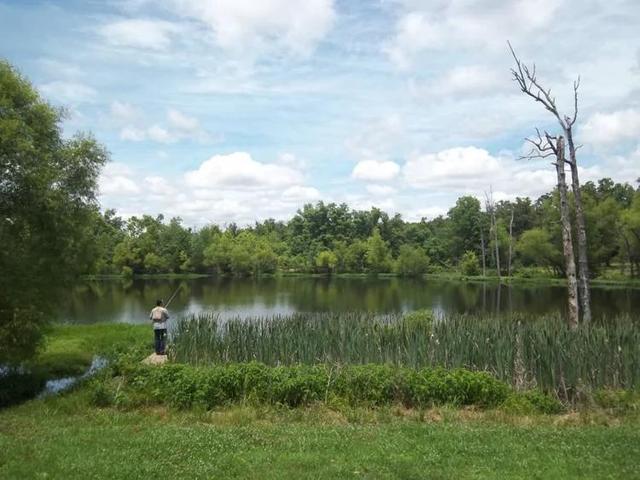 美国有什么特产在中国绝对买不到的？瞧瞧45万美元买下美国大农场