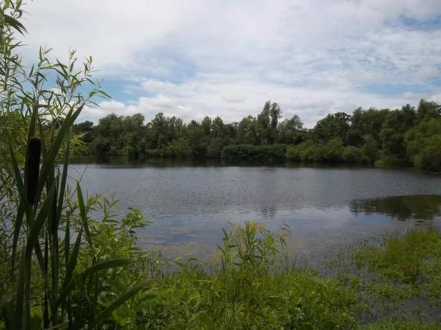 美国有什么特产在中国绝对买不到的？瞧瞧45万美元买下美国大农场