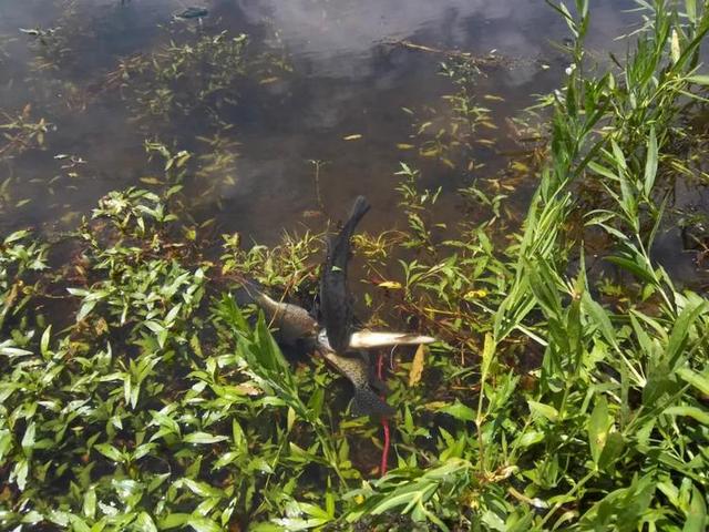 美国有什么特产在中国绝对买不到的？瞧瞧45万美元买下美国大农场