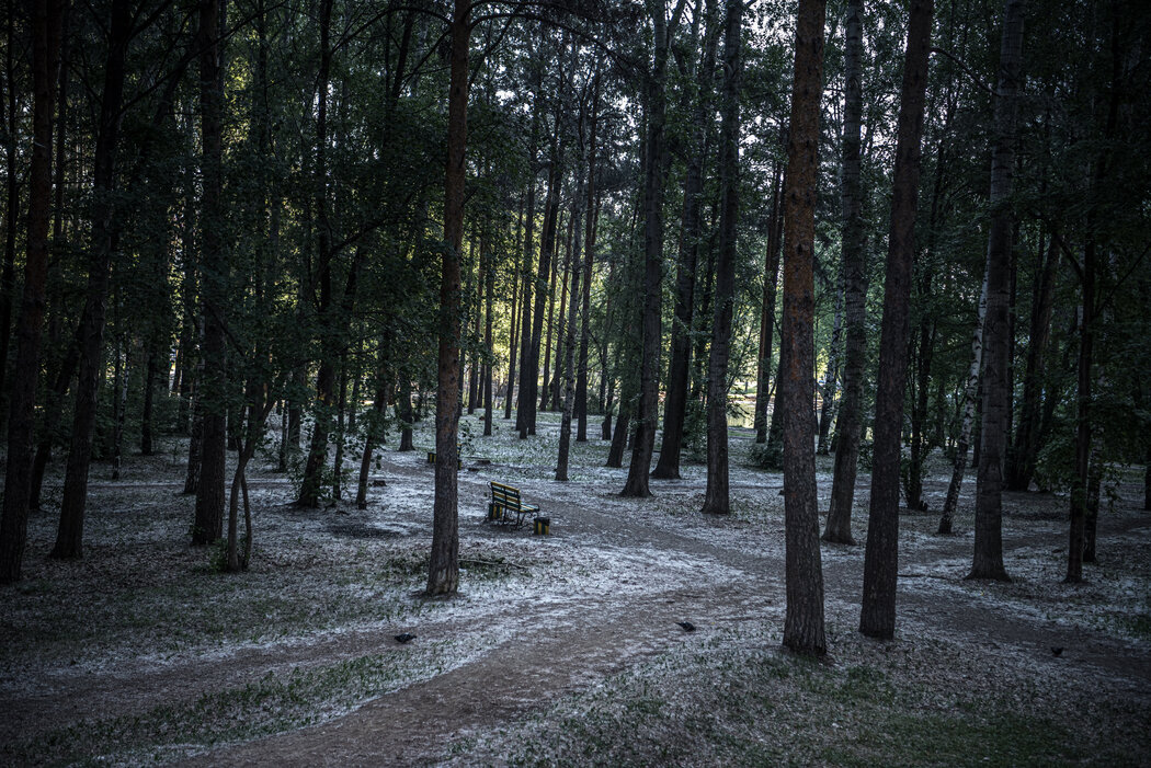 该地区的一个公园，该公园处于1979年空气传播的炭疽泄漏的下风口。