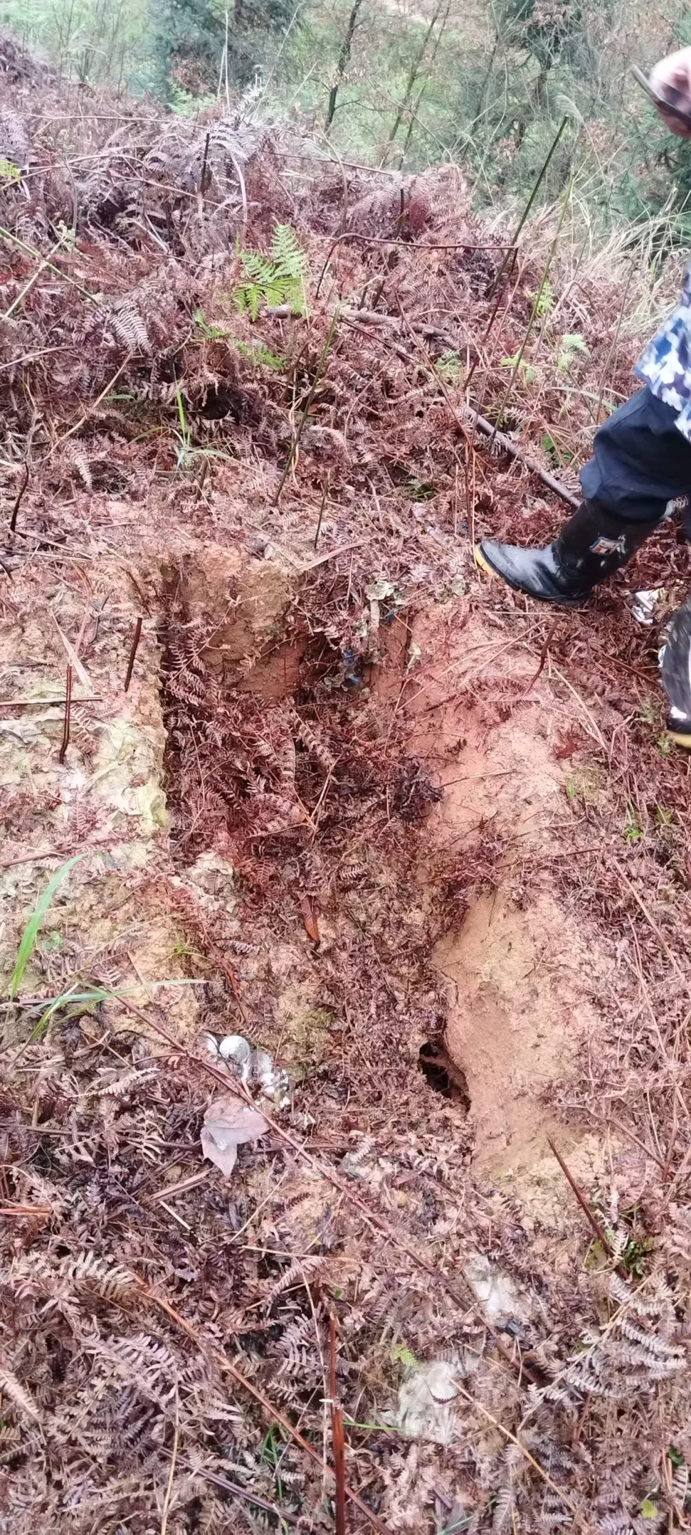 村民修缮清代祖先坟墓时发现被挖出大坑 疑遭盗墓