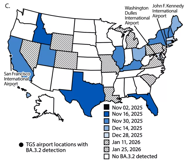 CDC：新冠“蝉变种”已在全美近半数州出现