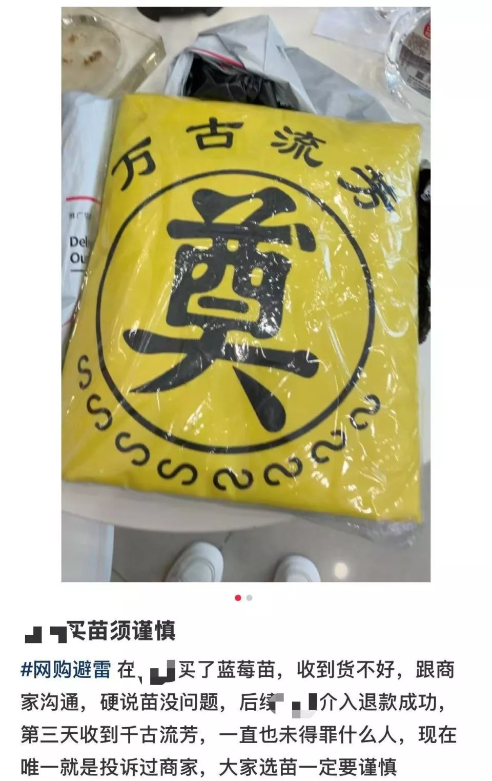 13.8元蓝莓苗后选择仅退款 女子后来收到殡葬用品