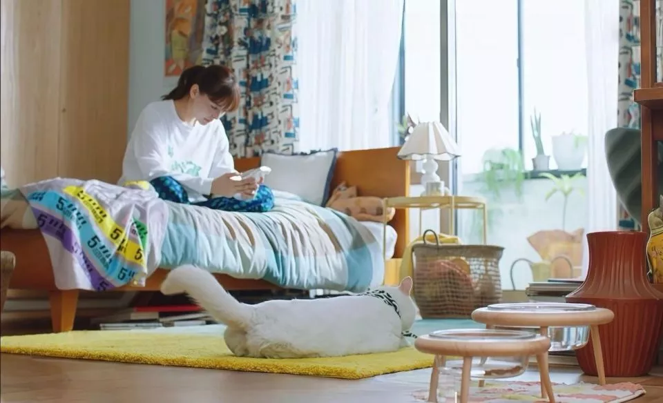 年轻人不买房，开始“改善型租房”：80万租10年