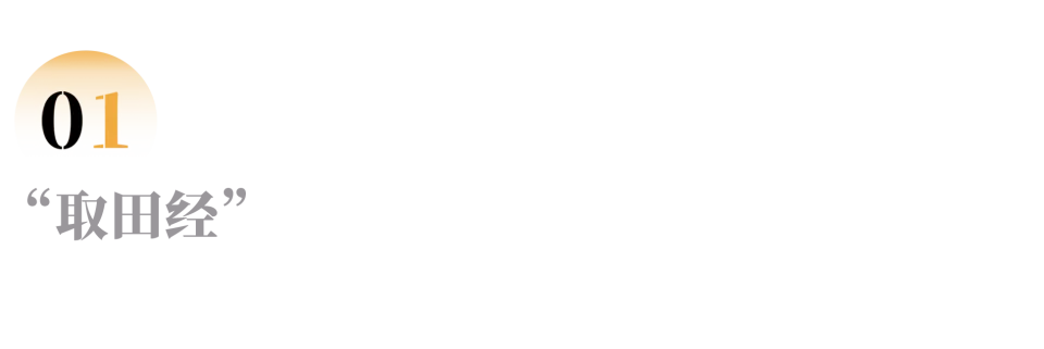 路在脚下，他们真把人生拍成了《西游记》 全网热议