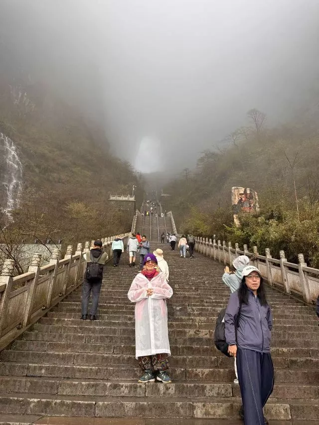 74岁英国奶奶游张家界，全网陪游！