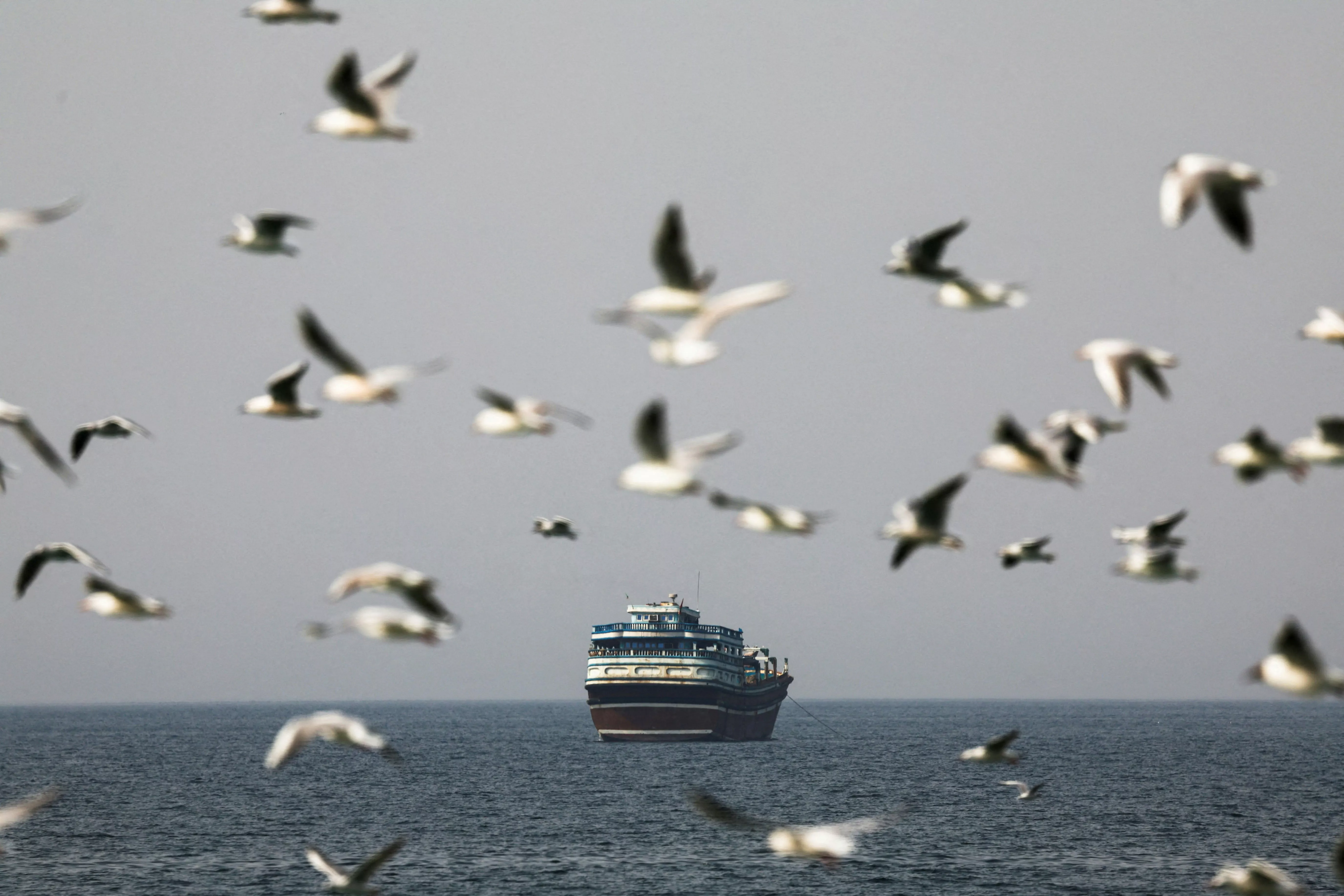 伊朗拟“全面接管”霍尔木兹海峡：不再回到战前状态
