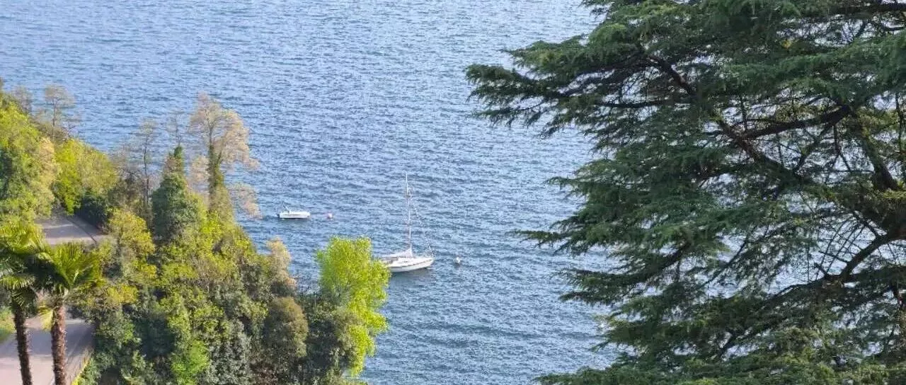 有一件事对国民精神的损害，无以复加