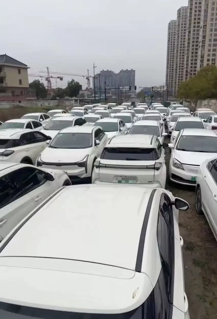 新能源车的「斩杀线」上,站满老司机