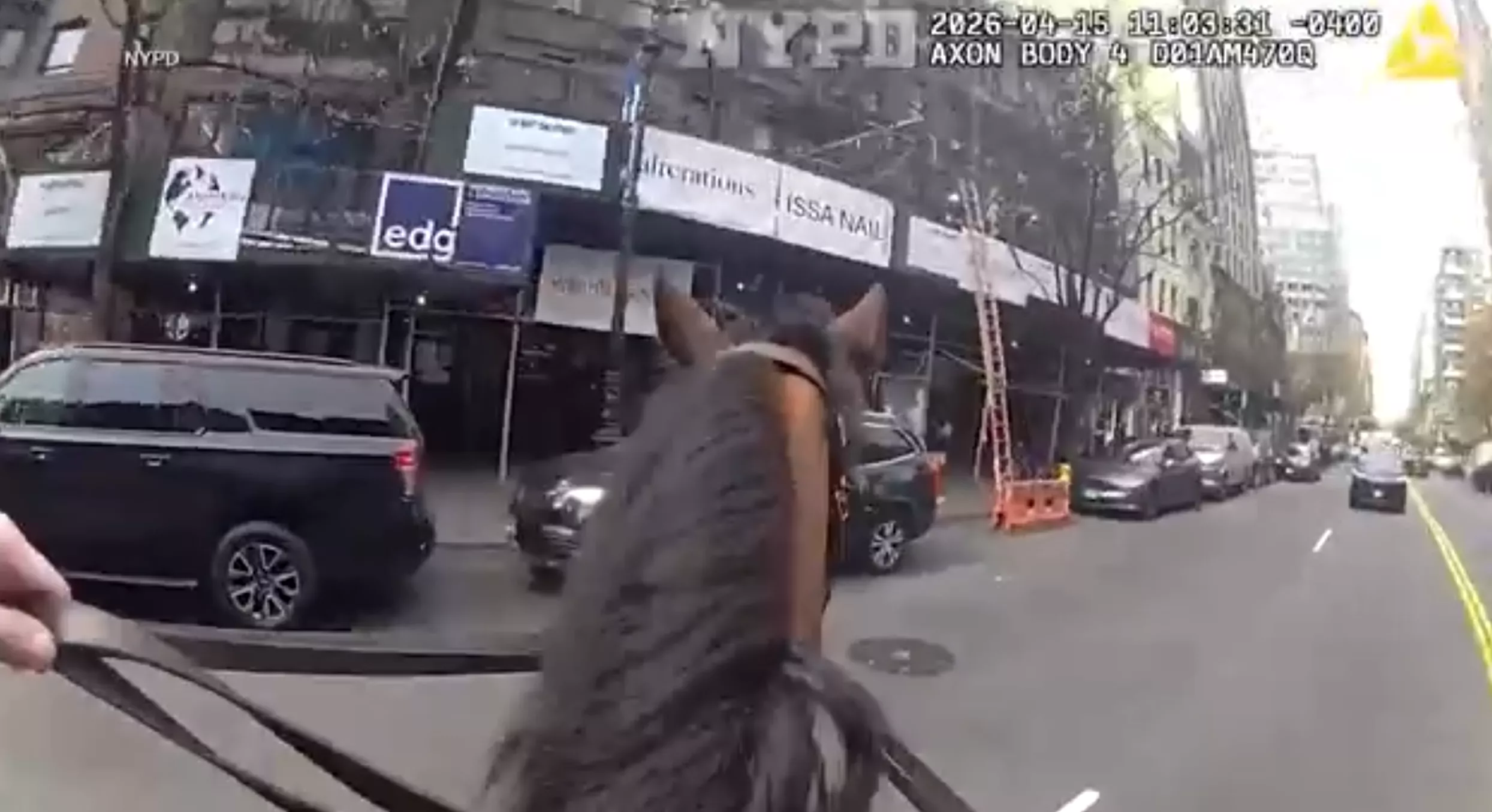 曼哈顿街头上演“马背追捕” 骑警抓获抢包女子(视)