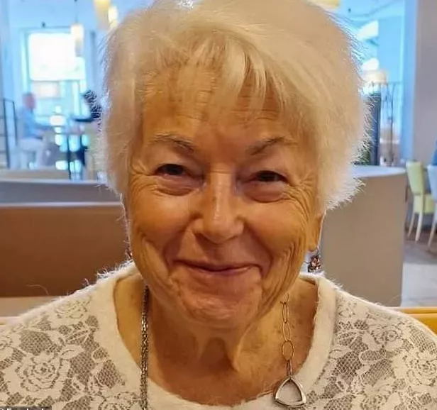 86岁老人卷入争遗产 被继子举报 被ICE遣返！