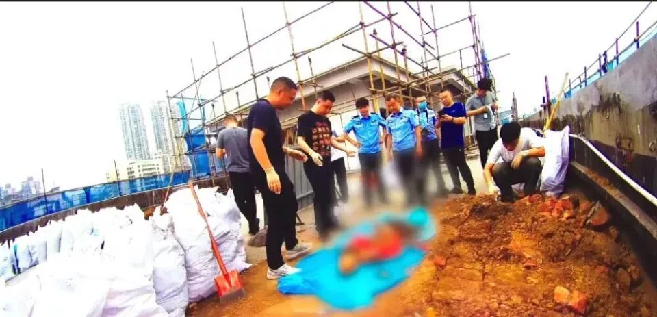 花坛藏尸28年!嫌疑人曾主动发短信催警察"还清白"