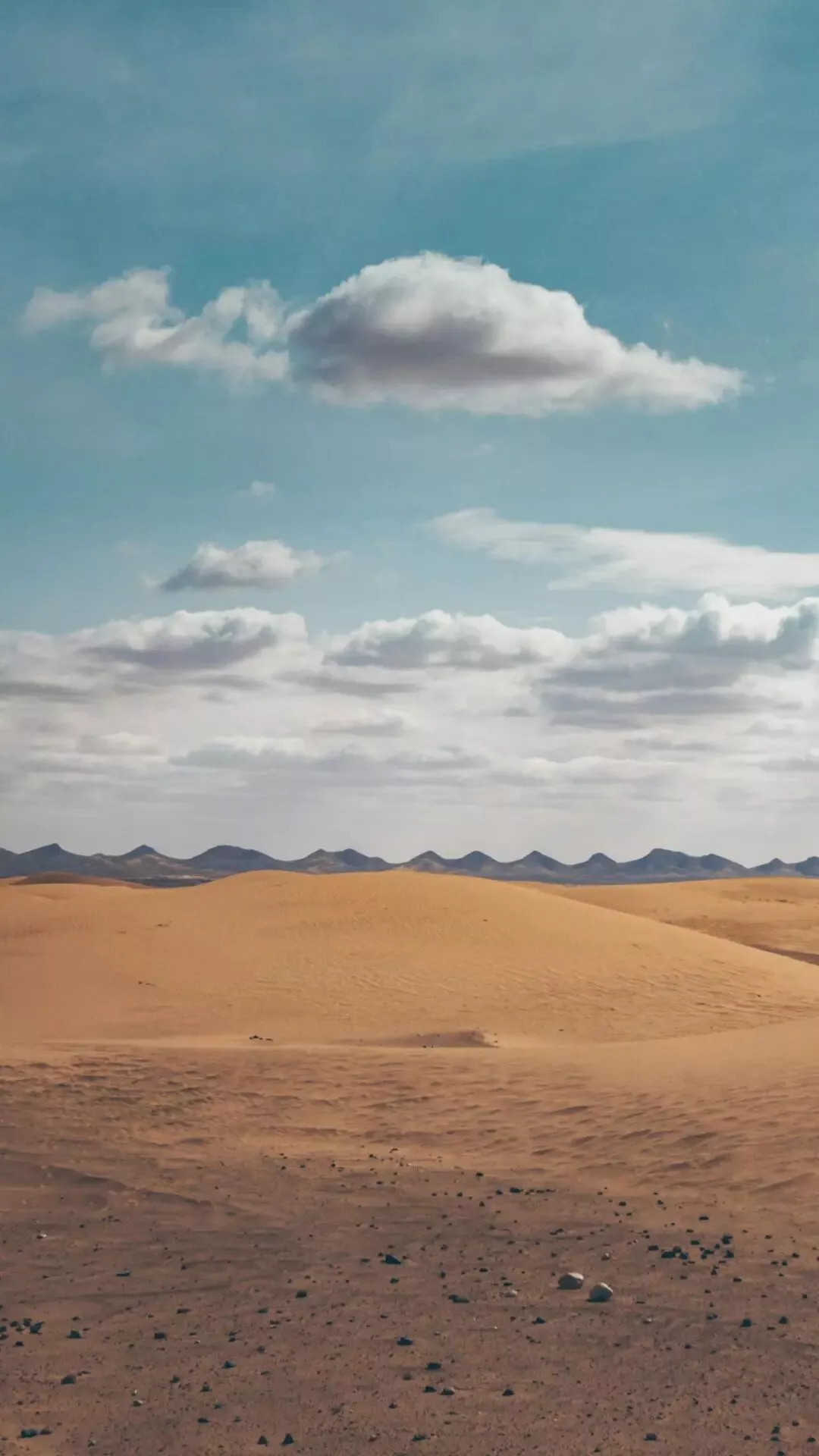 天下苦"劳务派遣"久矣,废除劳务派遣制度迫在眉睫