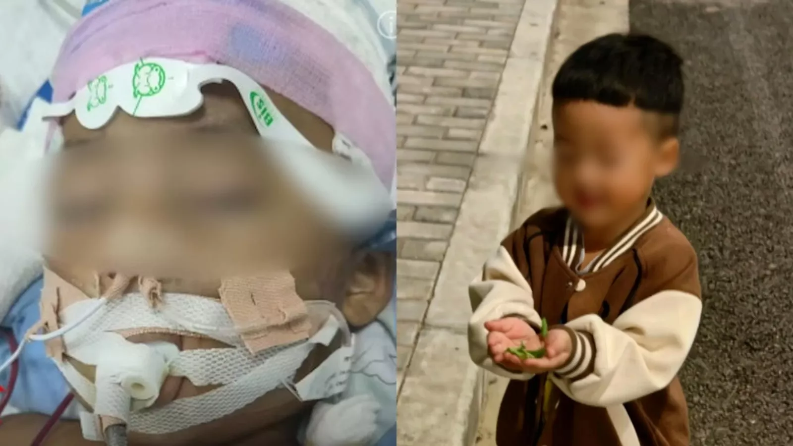 上海3岁男童遭生父女友虐死体无完肤 凶手判死缓