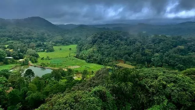 女游客在印度民宿遭老板下药，员工趁机性侵