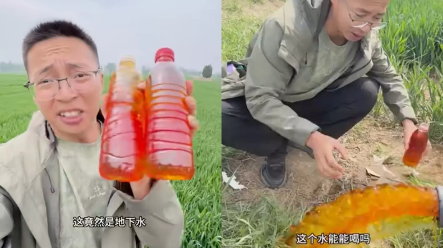 河北红色地下水灌溉麦田 村民不吃自家粮