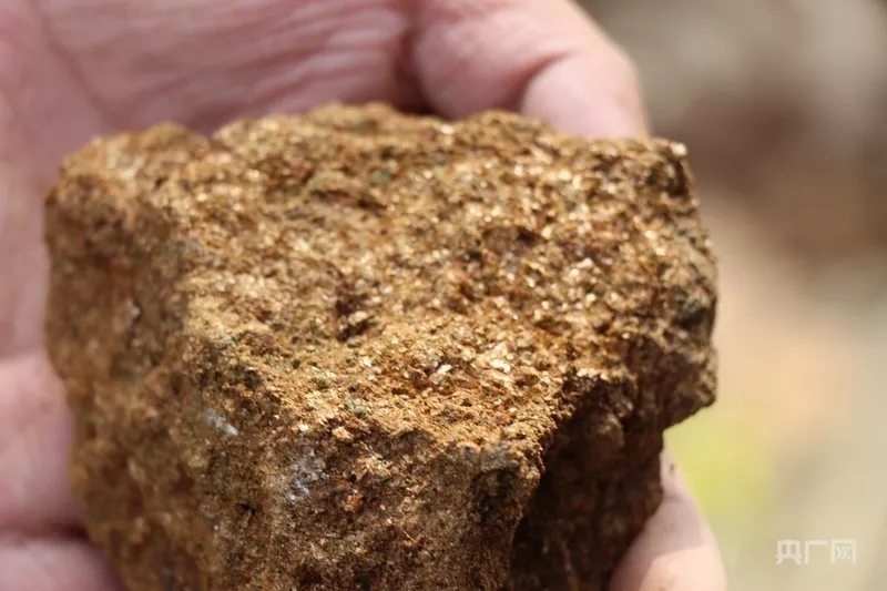 大连8岁男孩疑似发现金矿？记者实地勘查