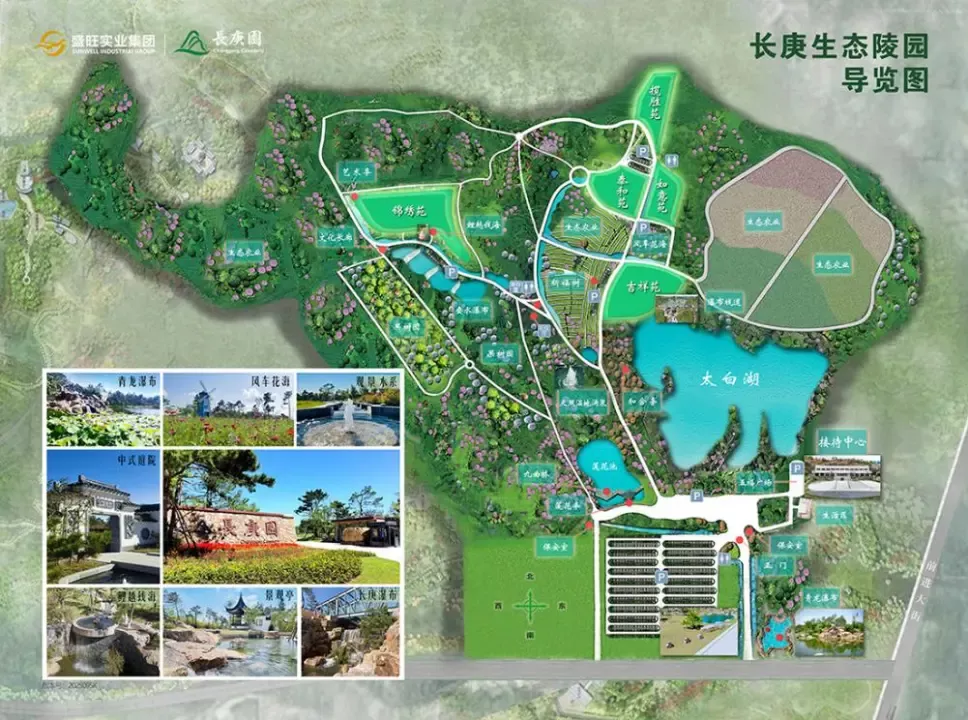 生态园竟变豪华“住宅式”墓地，售价200万元