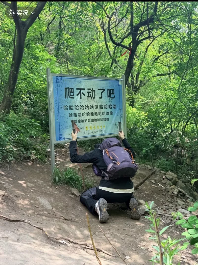 河南嵩山景区“爬不动了吧”标语牌被指嘲讽游客遭撤换？