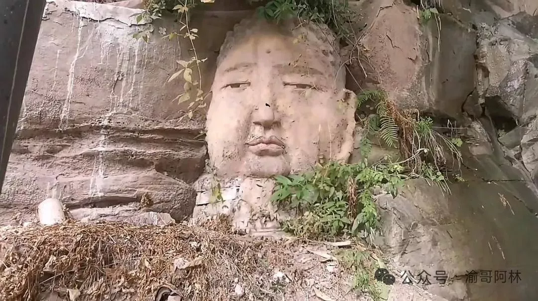 重庆＂萌感＂佛头意外走红 雕刻者：不是文物