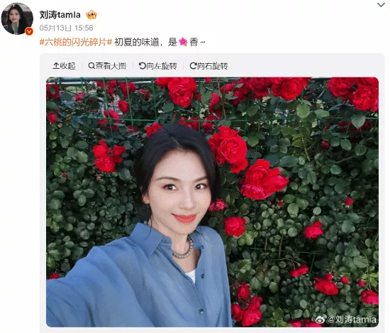 47岁刘涛近照曝光美成啥了?4亿债务还清后状态回春