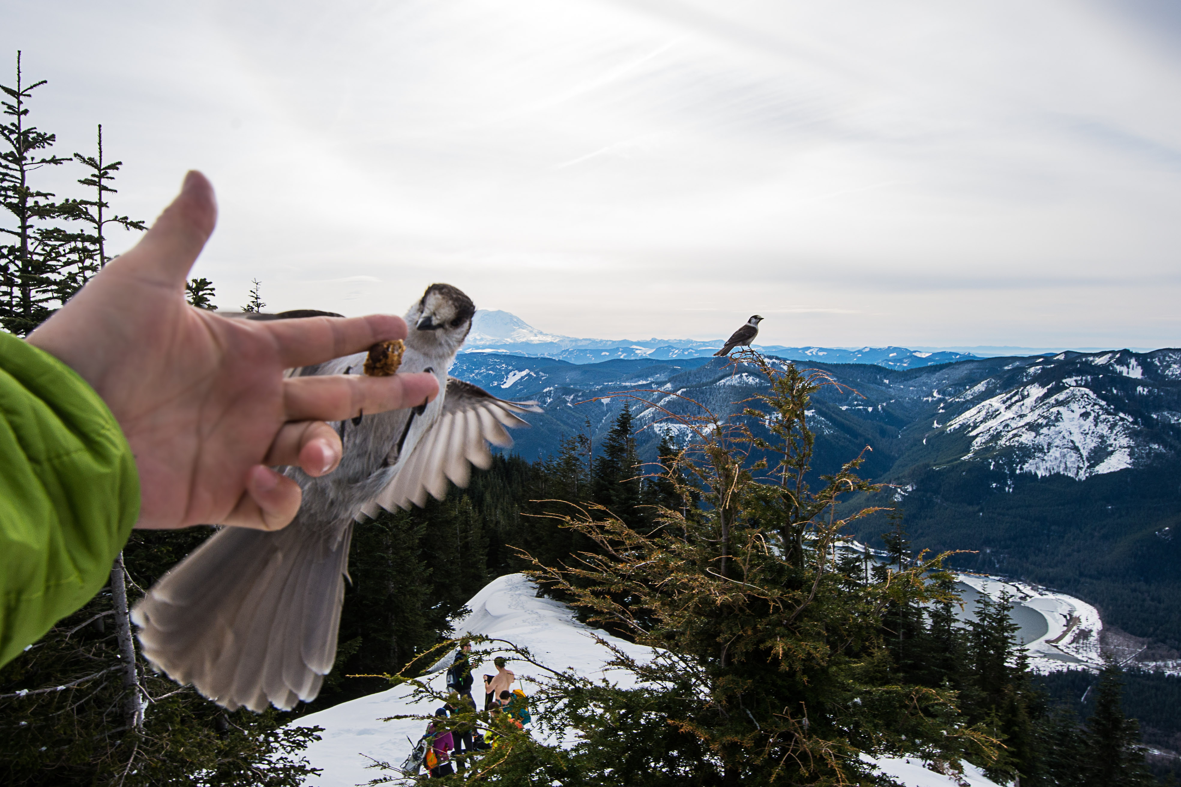Birds, Humans, Lakes and Mountains