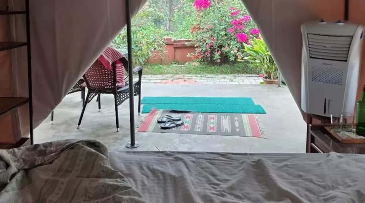 美国女子在印度民宿遭下药性侵,老板疑断网掩盖案情