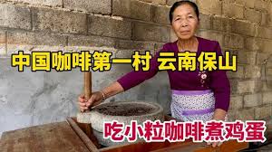 新寨村,吃傣族阿姨用咖啡煮 ...